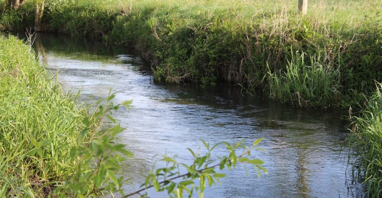 Ampney Brook