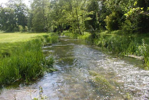 River Dikler