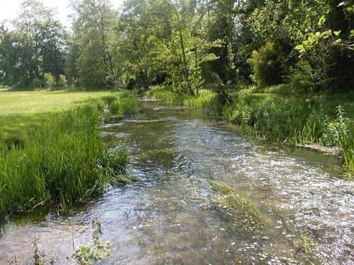 River Dikler
